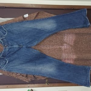 Size 22 Silver Jeans Preowned